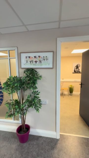 A look inside one of our treatment rooms ✨

This is one of the spaces where we help clients with pain relief, injury recovery, mobility issues, and overall wellbeing in a comfortable and welcoming environment.

To book an appointment, call (0504) 26090 📞
#thephysiolab #thurles #tipperary #physiotherapy #SportsRecovery