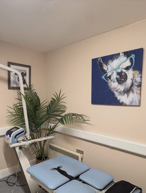 The little details around The Physio Lab 💙 #thephysiolab #thurles #physiotherapy #tipperary #physiocare
